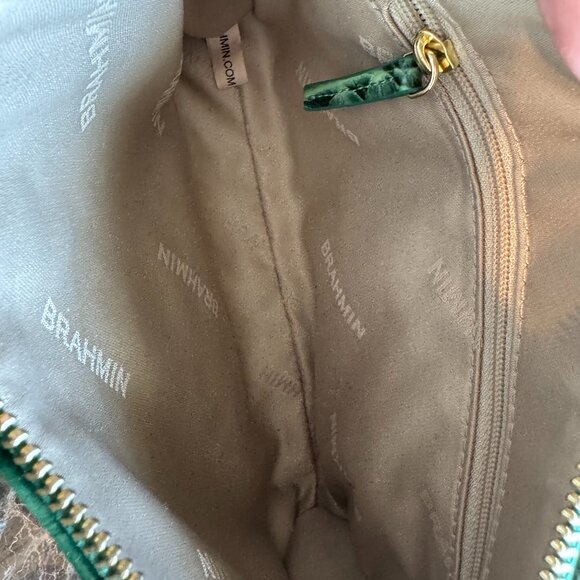 Brahmin Daisy in Parakeet - Picture 2 of 4